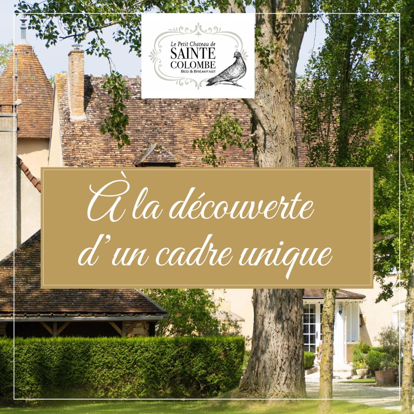 Le Petit Chateau De Sainte Colombe Bouges-le-Chateau Exterior photo